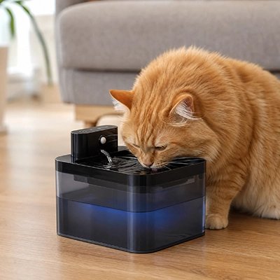 chat dans salon buvant fontaine a eau chat