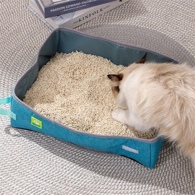 chat entrant dans bac à litière chat pliable