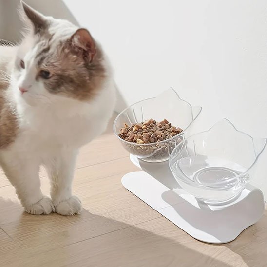 chat et gamelle chat bol double avec support integre