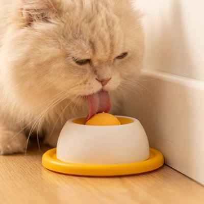 chat lechant gamelle anti glouton chat interactif jaune