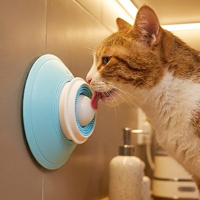 chat lechant gamelle anti glouton chat stimulante blanc bleu