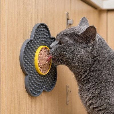 chat lechant tapis de lechage florale gris cuisine