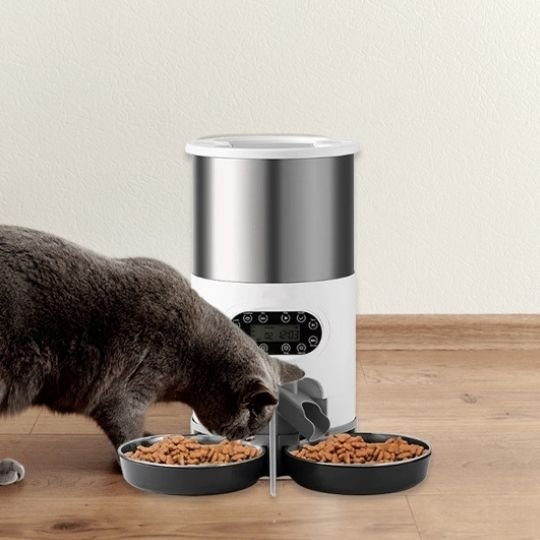 chat mangeant dans distributeur automatique croquettes chat double bols