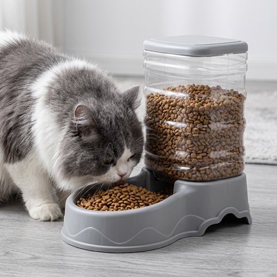 chat mangeant dans distributeur croquettes chat compact couleur gris