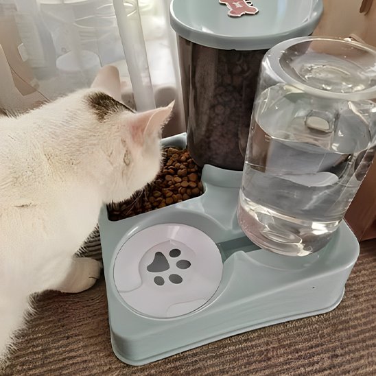 chat mangeant dans distributeur de croquettes pour chat bleu pastel ludique