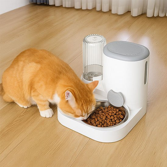 chat mangeant dans distributeur de croquettes pour chat​ design minimaliste
