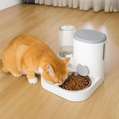 chat mangeant dans distributeur de croquettes pour chat​ design minimaliste