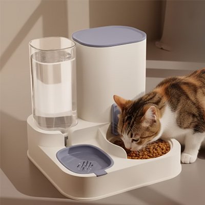 chat mangeant dans distributeur de croquettes pour chat bicolore