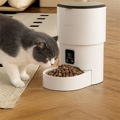 chat mangeant dans distributeur de croquettes pour chat intelligent dans salon