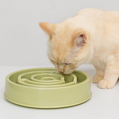 chat mangeant dans gamelle anti glouton chat amusante vert