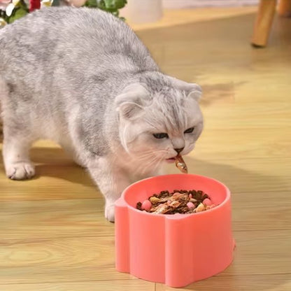 chat mangeant dans gamelle anti glouton chat coloree rose