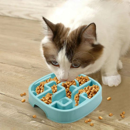 chat mangeant dans gamelle anti glouton chat ludique bleu