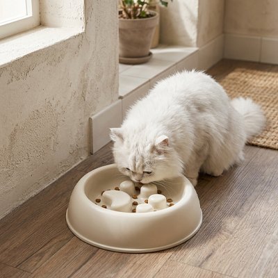 chat mangeant dans gamelle anti glouton chat patte de felin couleur beige