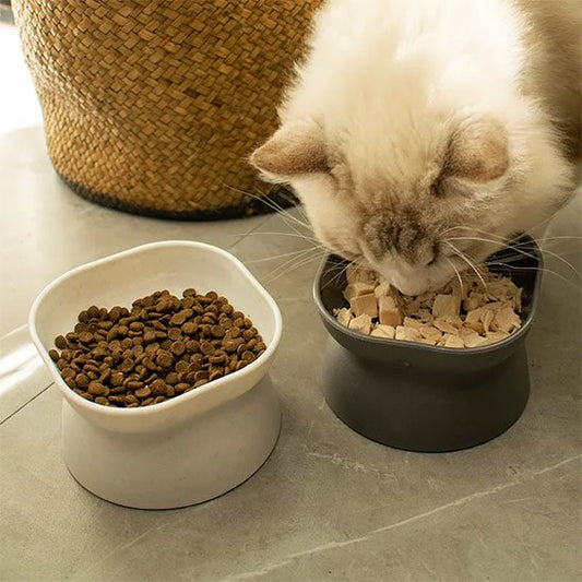 chat mangeant dans gamelle chat anti vomissement couleur gris et blanc