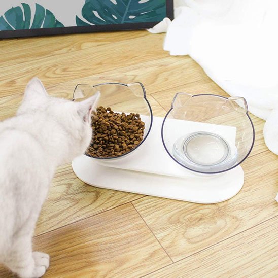chat mangeant dans gamelle chat bol double avec support integre
