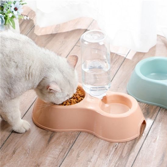 chat mangeant dans gamelle chat coloris pastel rose