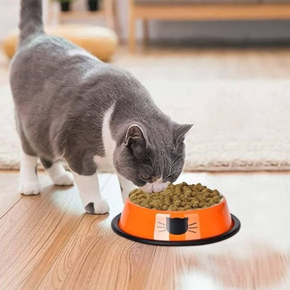 chat mangeant dans gamelle chat decoration chat couleur orange