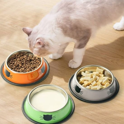 chat mangeant dans gamelle chat decoration chat couleur orange vert gris