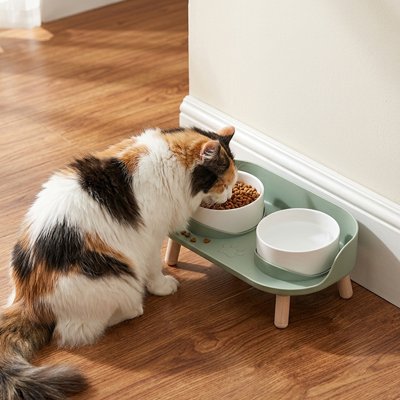 chat mangeant dans gamelle chat double bols surélevés couleur vert blanc