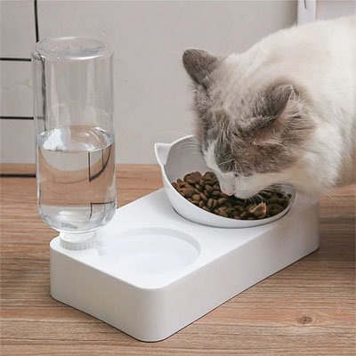 chat mangeant dans gamelle chat double compartiment couleur blanche