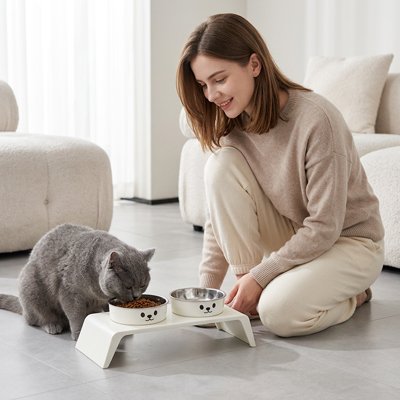 chat mangeant dans gamelle chat surelevee adorable doule bol inox avec maitresse