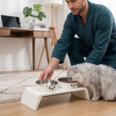 chat mangeant dans gamelle chat surelevee adorable doule bol inox avec maitre