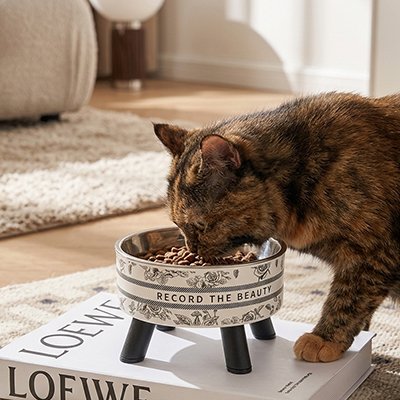 chat mangeant dans gamelle chat surelevee avec motifs floraux vintage