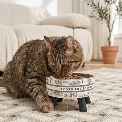 chat mangeant dans gamelle chat surelevee dans salon avec motifs floraux vintage