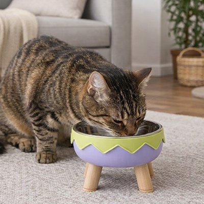 chat mangeant dans gamelle chat surelevee design colore moderne couleur violet dans salon