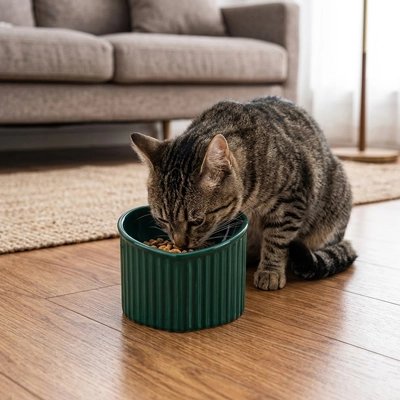 chat mangeant dans gamelle chat surelevee design coeur vert fonce dans salon