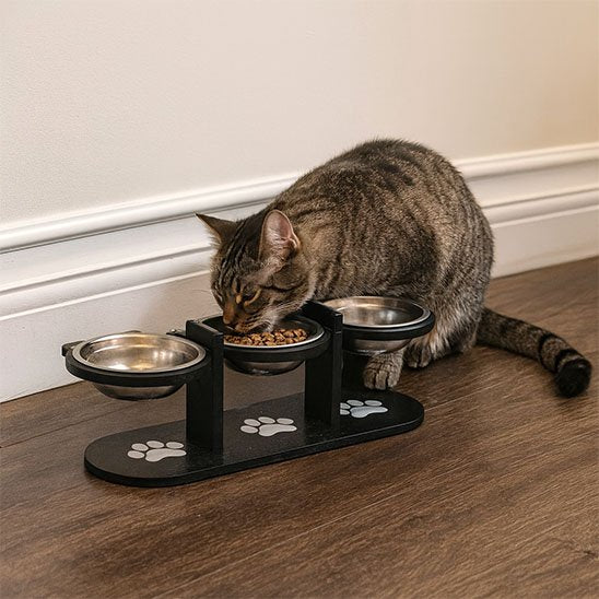 chat mangeant dans gamelle chat surelevee design felin triple bols inox dans salon