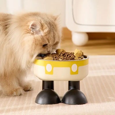 chat mangeant dans gamelle chat surelevee ludique couleur jaune dans salon