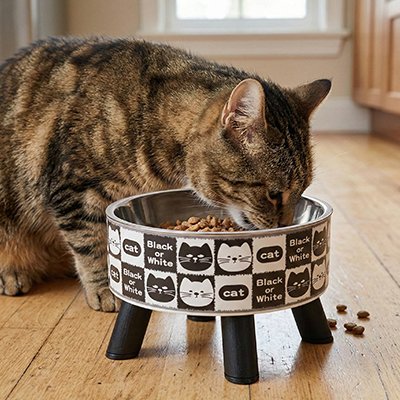 chat mangeant dans gamelle chat surelevee motif felin noir et blanc dans salon