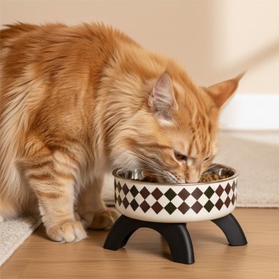 chat mangeant dans gamelle chat surelevee motifs geometriques carre