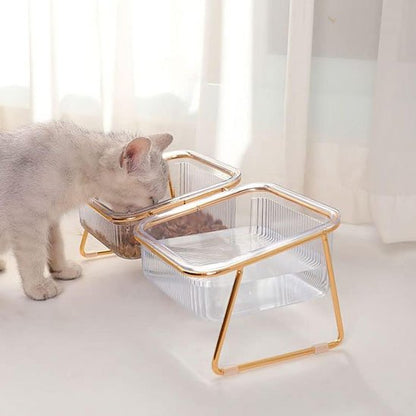 chat mangeant dans gamelle chat transparente bol double