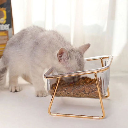 chat mangeant dans gamelle chat transparente bol simple
