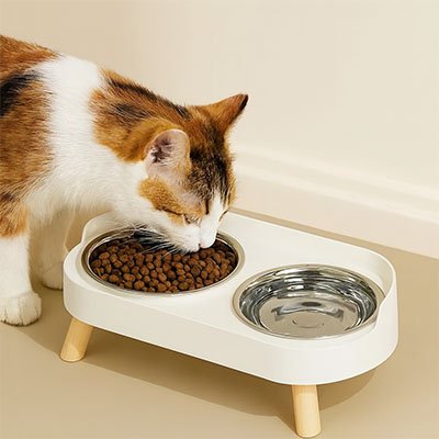 chat mangeant dans gamelle pour chat design epure couleur blanche
