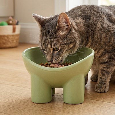 chat mangeant dans gamelle surelevee chat couleur vert olive dans salon