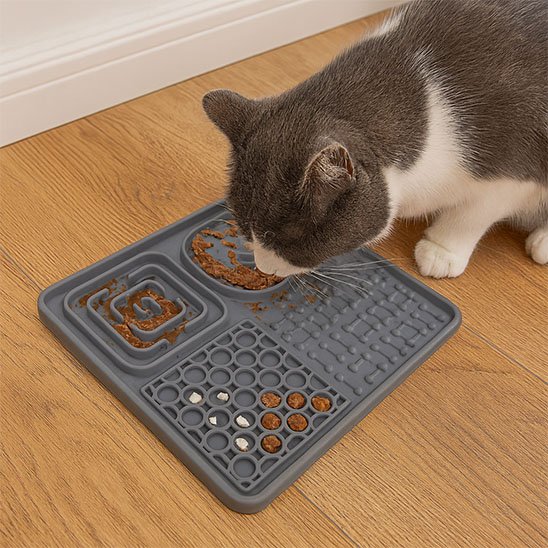 chat mangeant dans tapis de lechage compartimente gris