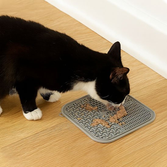 chat mangeant dans tapis de lechage format carre gris