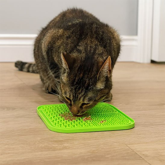chat mangeant dans tapis de lechage format carre vert