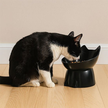 chat mangeant gamelle chat surelevee silhouette feline couleur noir