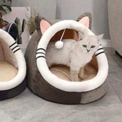 chat niche modèle chat salon avec chat debout
