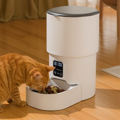 chat orange mangeant dans distributeur de croquettes pour chat intelligent