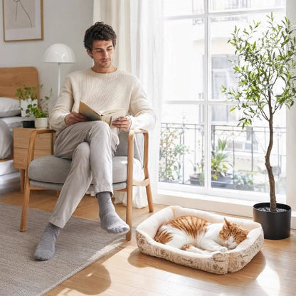chat panier blanc maitre avec chat dormant