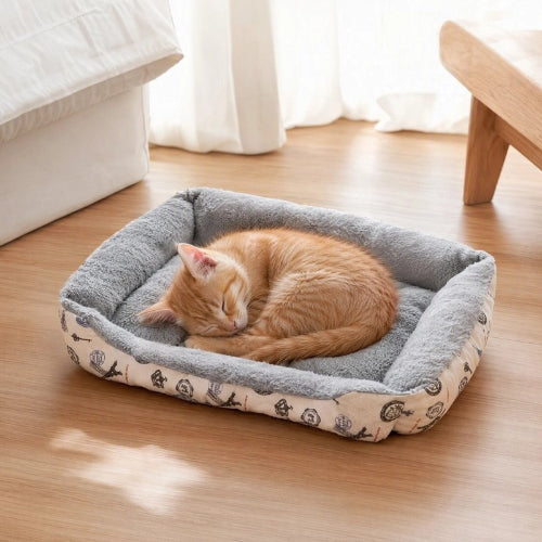 chat panier gris chat dormant