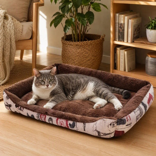 chat panier marron chat allonge