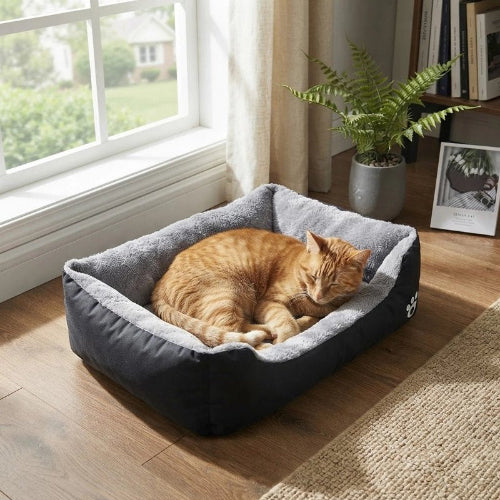 chat panier noir chat dormant salon