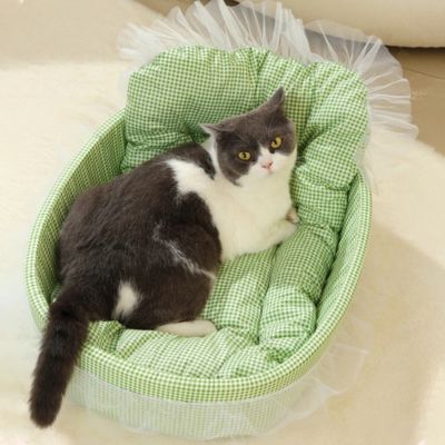 chat panier princesse vert