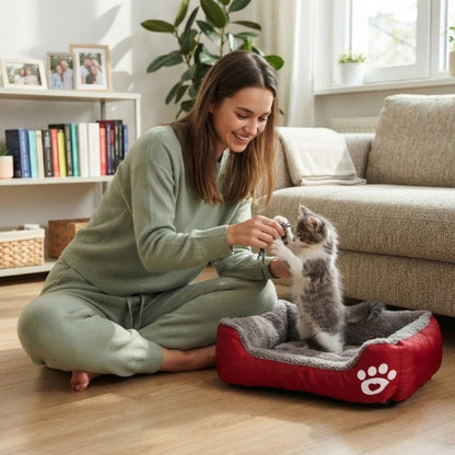 chat panier rouge maitresse avec chaton salon